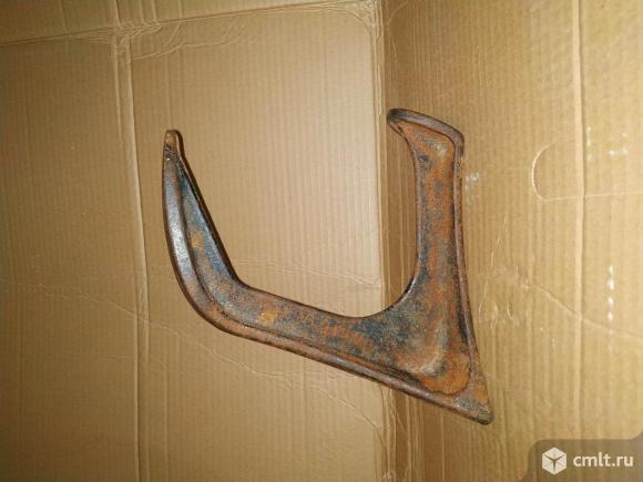 Лапа сапожная. Фото 1.