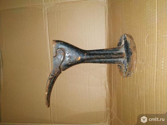 Лапа сапожная. Фото 1.