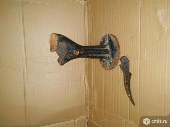 Лапа сапожная. Фото 3.