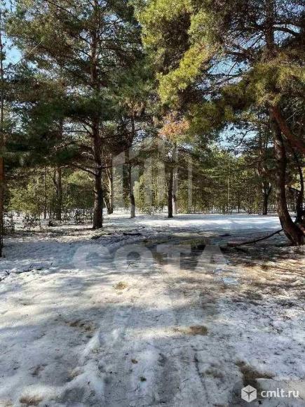 Участок 7,5 сот.. Фото 1.