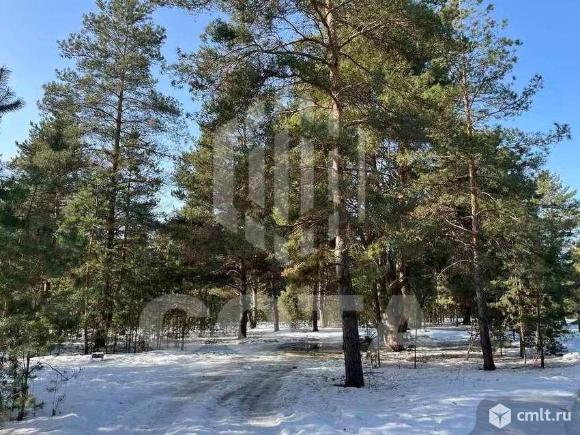 Участок 7,5 сот.. Фото 6.