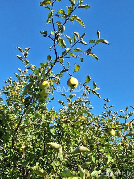 Дача 47,5 кв.м. Фото 20.