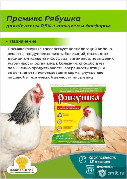 Премиксы Рябушка для с/х птицы (0,5%, с кальцием и фосфором). Фото 2.