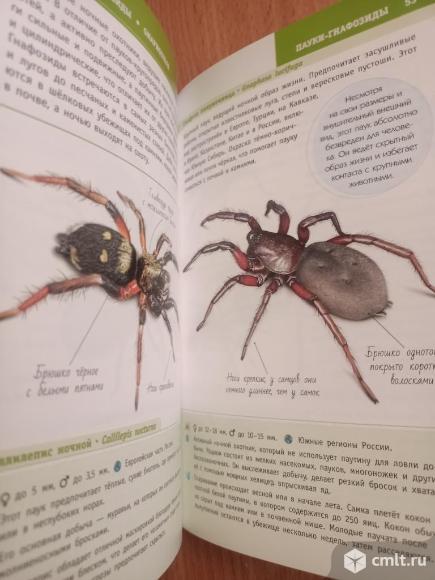 Новая книга. Фото 1.