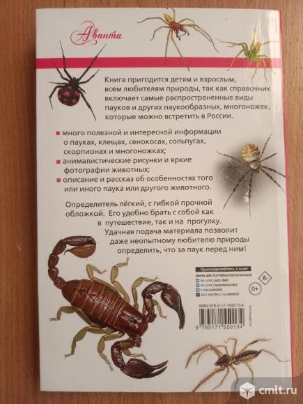 Новая книга. Фото 3.