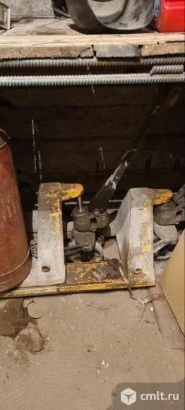 Рохля бу. Фото 1.