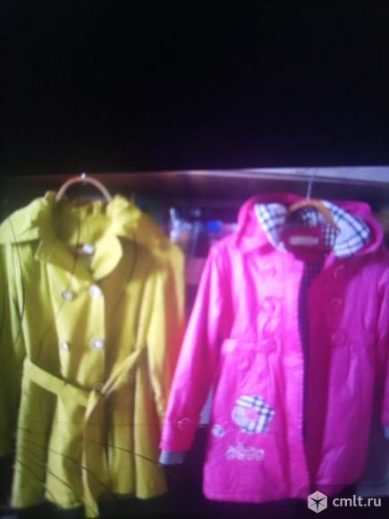 Куртки,плащи для девочки. Фото 1.