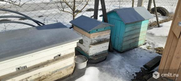 Продам медогонку, ульи, рамки, фляги. Фото 5.