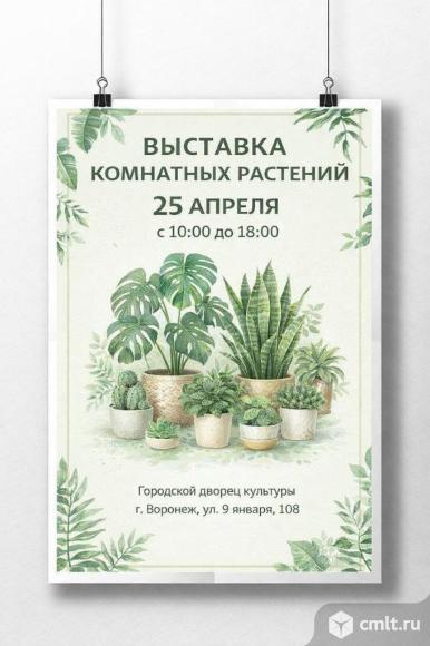 Выставка комнатных растений. Фото 1.