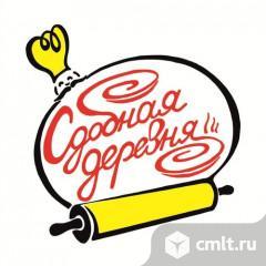 Главный бухгалтер (общепит). Фото 1.