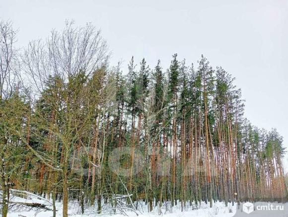 Дом 92 кв.м. Фото 15.