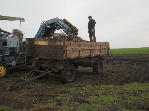 Продам картофелеуборочный комбайн Е-686. Фото 1.