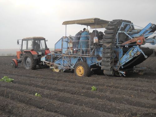 Продам картофелеуборочный комбайн Е-686. Фото 5.
