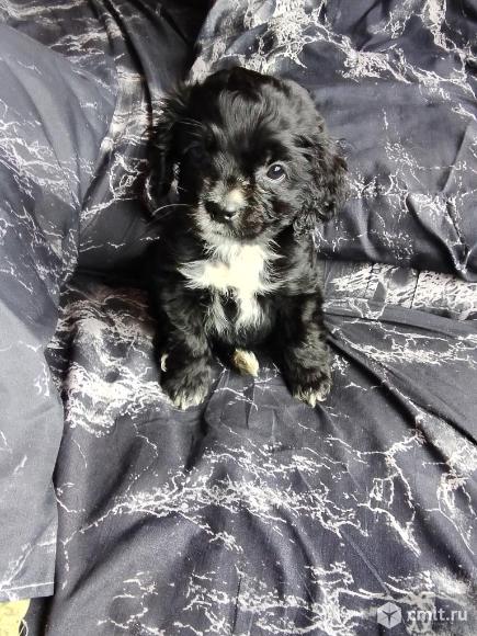 Алиментная девочка. Фото 1.