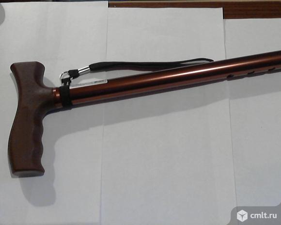 Трость. Фото 1.