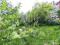 Участок 11,11 сот.. Фото 5.