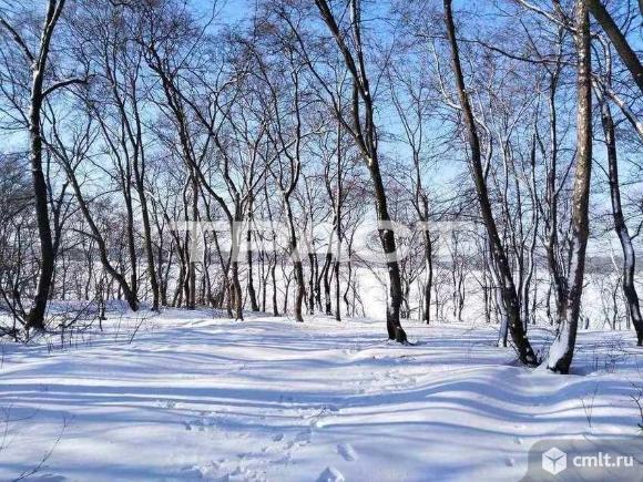 Участок 7 сот.. Фото 3.