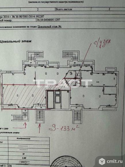 Сдаю помещение свободного назначения. Фото 12.