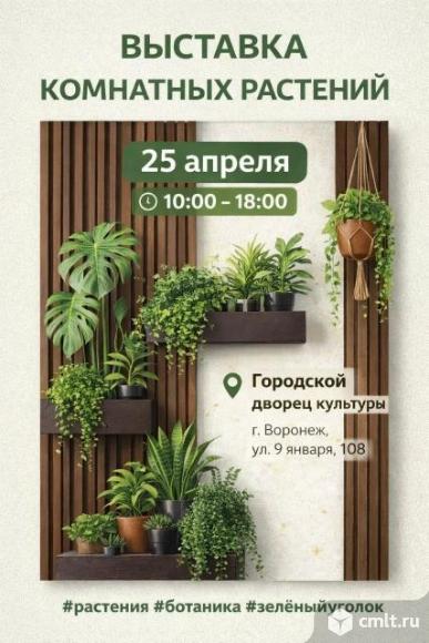 Выставка-продажа комнатных растюх. Фото 1.