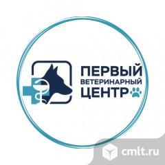 Администратор ветеринарной клиники. Фото 1.