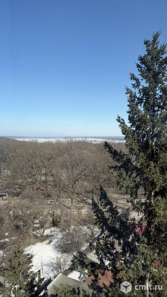 3-комнатная квартира 61,9 кв.м. Фото 15.