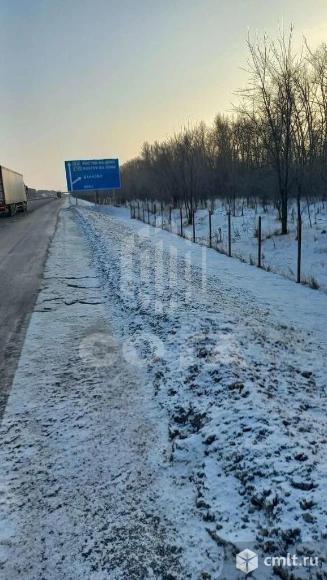 Участок 217 сот.. Фото 5.