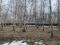 Участок 9 сот.. Фото 1.
