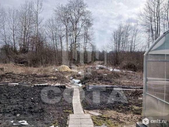 Участок 16 сот.. Фото 1.