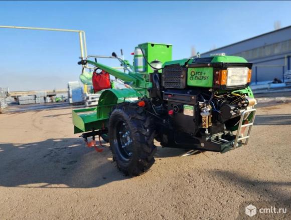 2026 г. в.. Фото 1.