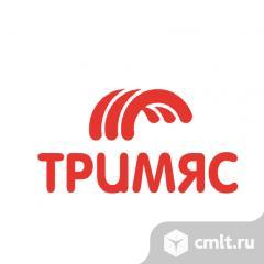 Главный бухгалтер. Фото 1.