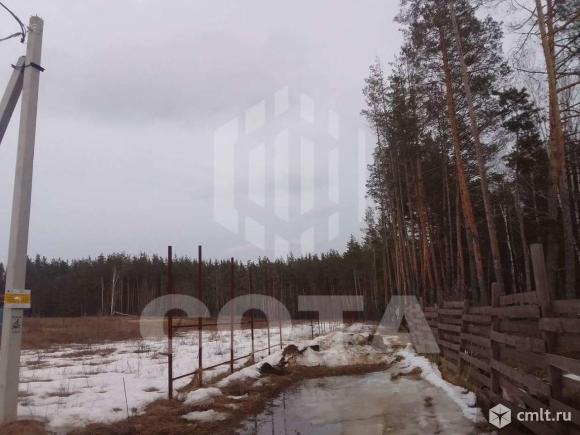 Участок 139 сот.. Фото 10.