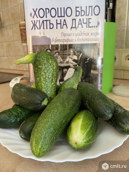 Коттедж 436 м2 на участке 36 сот.Коттедж 436 м2 на участке 36 сот.. Фото 1.