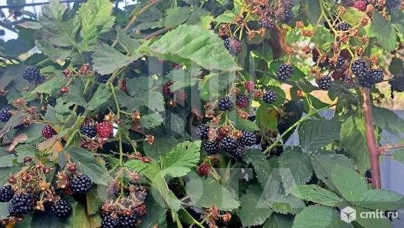 Дом 90 кв.м. Фото 20.