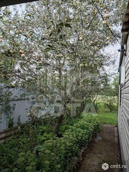 Дом 43,9 кв.м. Фото 20.