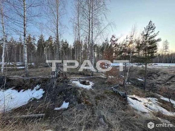 Участок 15 сот.. Фото 9.