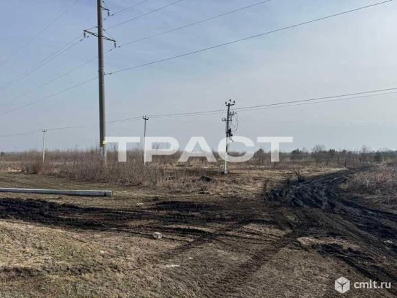 Участок 200 сот.. Фото 6.