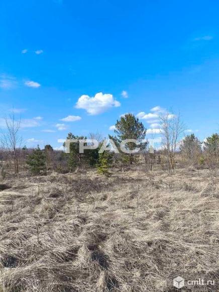 Участок 12 сот.. Фото 1.