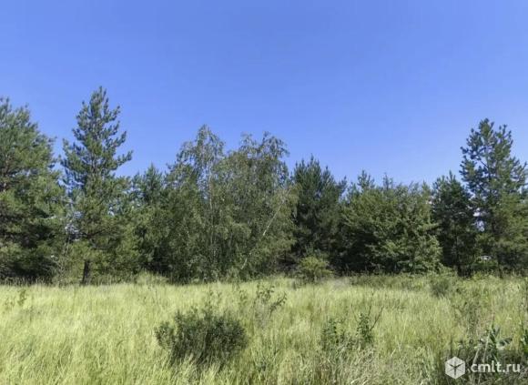 Участок 15 сот.. Фото 4.