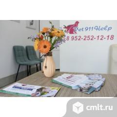 Фельдшер. Фото 1.