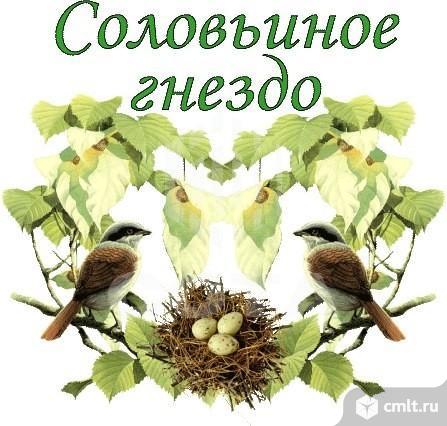 Участок 9 сот.. Фото 8.