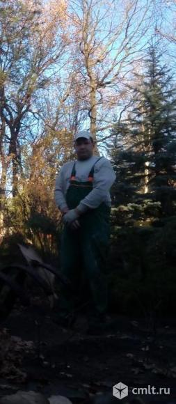 Землекоп. Фото 1.