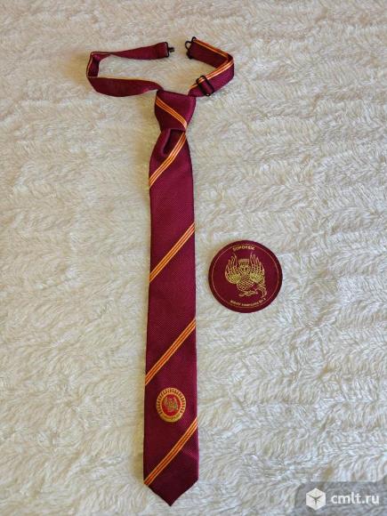 Галстук школьный + шеврон (Гимназия №2). Фото 1.