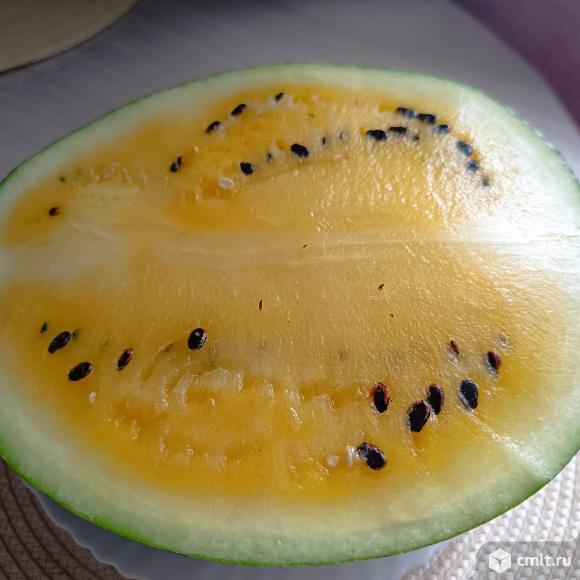 Арбуз желтый и микросеменной. Фото 1.