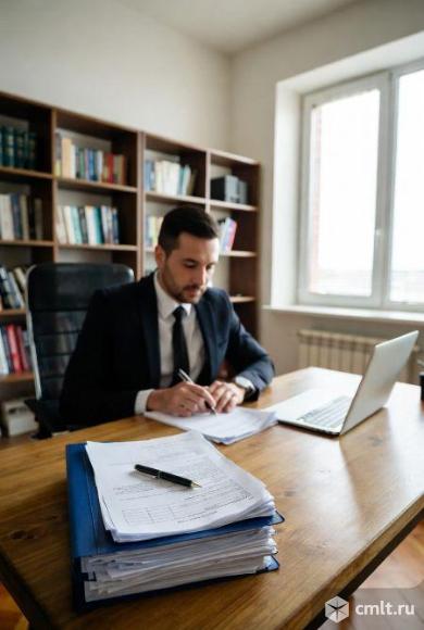 Услуги юриста для политиков в Челябинске. Фото 1.