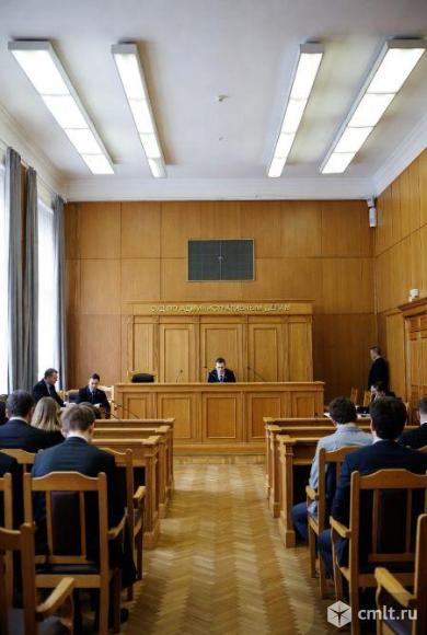 Суд по административным делам для юридических лиц в Челябинске: профессиональная помощь. Фото 1.