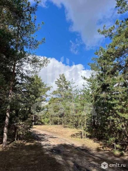 Участок 7,5 сот.. Фото 1.