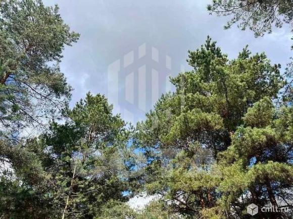 Участок 7,5 сот.. Фото 8.