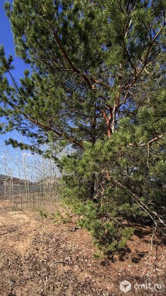 Участок 6,29 сот.. Фото 8.