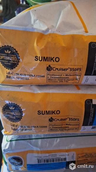 Семена подсолнечника под экспресс. Фото 2.