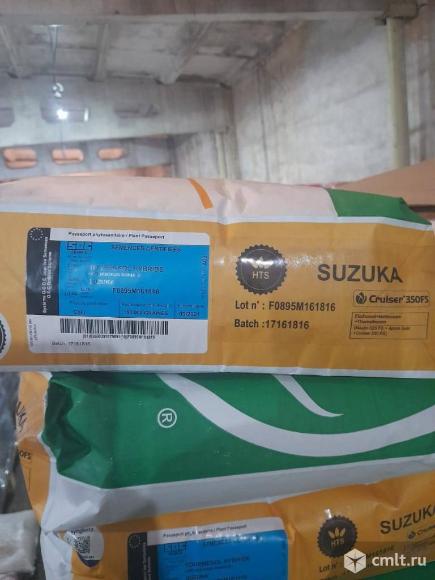 Семена подсолнечника под экспресс. Фото 3.